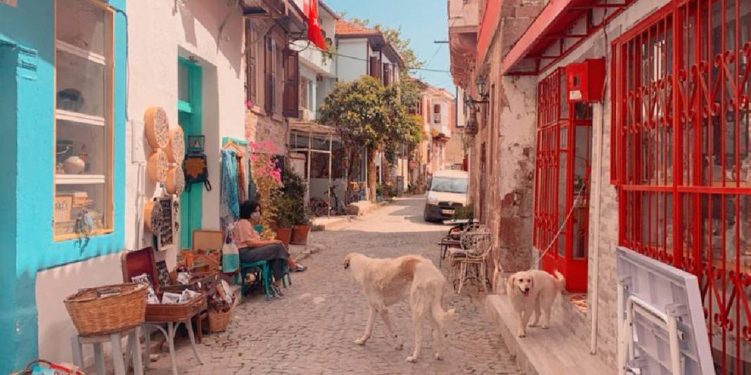 Kendinizi sahile bırakın, damla sakızlı kahvenin tadına varın! Burası bir cennet: Eylül ayında mutlaka görün 6